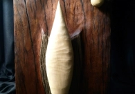 Exposi��o fecha a temporada 2023 do Cultura Acic