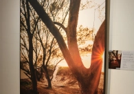 Exposi&ccedil;&atilde;o Portais prop&otilde;e uma viagem &agrave;s emo&ccedil;&otilde;es