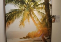 Exposi&ccedil;&atilde;o Portais prop&otilde;e uma viagem &agrave;s emo&ccedil;&otilde;es