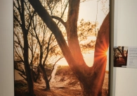 Exposi&ccedil;&atilde;o Portais prop&otilde;e uma viagem &agrave;s emo&ccedil;&otilde;es