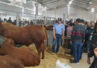 Feiras da CasaPronta e AgroPonte movimentam mais de R$ 500 milh�es no Sul catarinense
