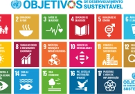 Ind�stria carbon�fera trabalha alinhada aos Objetivos de Desenvolvimento Sustent�vel