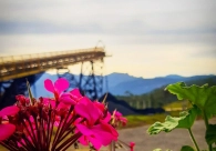 Ind�stria carbon�fera trabalha alinhada aos Objetivos de Desenvolvimento Sustent�vel