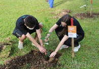 Ind�stria carbon�fera trabalha alinhada aos Objetivos de Desenvolvimento Sustent�vel