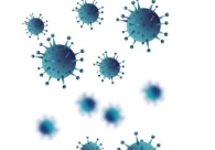 Medidas restritivas: Facisc refor�a import�ncia da fiscaliza��o e pede que empresas n�o sejam penalizadas 