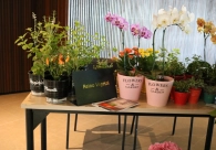 Mulheres mostram for&ccedil;a no mundo dos neg&oacute;cios durante evento na Acic