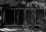 Patrimônios históricos tombados de Criciúma compõem nova exposição do Cultura Acic