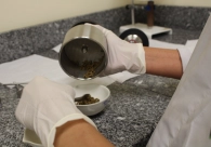 Pesquisa promete fazer do carv�o catarinense a base de uma ind�stria de energia limpa