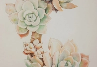 Projeto Cultura Acic recebe nova exposi&ccedil;&atilde;o nesta quinta-feira