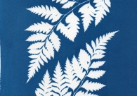 Projeto Cultura Acic recebe nova exposi&ccedil;&atilde;o nesta quinta-feira