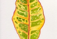 Projeto Cultura Acic recebe nova exposi&ccedil;&atilde;o nesta quinta-feira