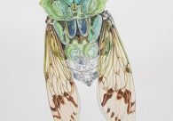 Projeto Cultura Acic recebe nova exposi&ccedil;&atilde;o nesta quinta-feira