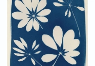 Projeto Cultura Acic recebe nova exposi&ccedil;&atilde;o nesta quinta-feira