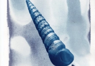 Projeto Cultura Acic recebe nova exposi&ccedil;&atilde;o nesta quinta-feira