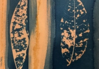 Projeto Cultura Acic recebe nova exposi&ccedil;&atilde;o nesta quinta-feira