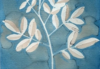 Projeto Cultura Acic recebe nova exposi&ccedil;&atilde;o nesta quinta-feira