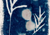 Projeto Cultura Acic recebe nova exposi&ccedil;&atilde;o nesta quinta-feira