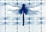 Projeto Cultura Acic recebe nova exposi&ccedil;&atilde;o nesta quinta-feira