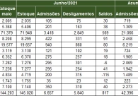 Regi�o Carbon�fera fecha o primeiro semestre com quase 7 mil empregos adicionados
