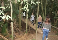 Selo de Melhores Pr&aacute;ticas de Sustentabilidade Ambiental &eacute; lan&ccedil;ado&nbsp;em evento no Grupo RAC