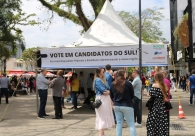 Voto regional: Balan�o da campanha � positivo