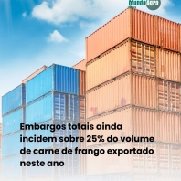 Mesmo com avanços recentes, um quarto do volume exportado entre janeiro e maio ainda enfrenta restrições — reflexo do caso de Influenza Aviária no RS.