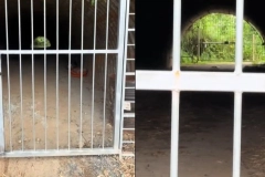 V&iacute;deo de &ldquo;t&uacute;nel misterioso&rdquo; sob avenida em Joinville viraliza e intriga moradores