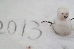 Relembre quando frio intenso trouxe neve para Joinville