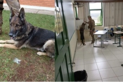 Maconha no banheiro: a&ccedil;&atilde;o preventiva em escola de Tr&ecirc;s Barras, no Norte de SC, resulta em apreens&atilde;o de droga