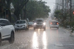 Defesa Civil emite alerta para temporal com raios e rajadas de vento em Joinville