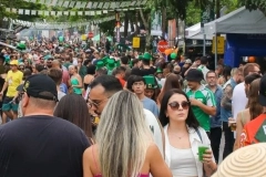 St. Patrick&rsquo;s na Rua: Joinville recebe festival inspirado na cultura irlandesa com m&uacute;sica, chope verde e gastronomia