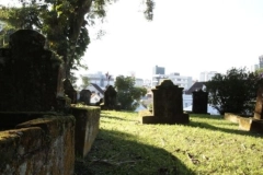 Prefeitura de Joinville promove visita guiada noturna ao Cemit&eacute;rio do Imigrante; saiba como se inscrever