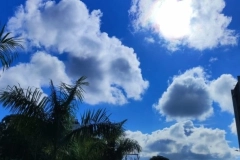 Saiba como fica a previs&atilde;o do tempo nesta segunda-feira em Joinville 