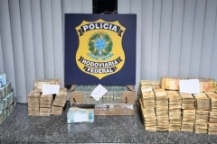 V&Iacute;DEO - Motorista &eacute; detido com R$ 2 milh&otilde;es em dinheiro vivo na BR-101, em Araquari