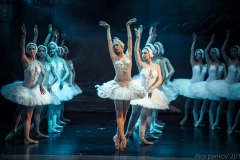 Gala Lago dos Cisnes & Obras-Primas pelo Moscow State Ballet em Joinville