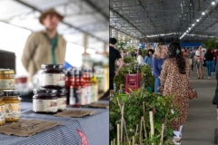 Ceasa recebe feira de outono e Joinville tem agenda cultural cheia para o fim de semana