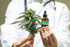 Audi&ecirc;ncia p&uacute;blica debate fornecimento gratuito de cannabis medicinal em Joinville e impacto no SUS