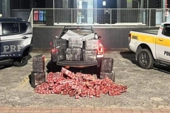 V&Iacute;DEO- Cheiro forte revela carga de mais de 330 kg maconha em picape em Campo Alegre