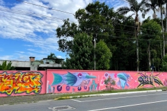 Artes visuais, m&uacute;sica, literatura e cultura japonesa s&atilde;o os destaques