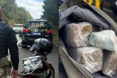 Fiscaliza&ccedil;&atilde;o policial revela mochila cheia de drogas na BR-280, em Mafra