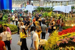 Festa das Flores, inaugura&ccedil;&atilde;o do showroom Evolution Fitness e mostra da artista qu&acirc;ntica Elizabethe Biscarra