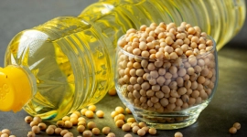 Óleo de soja se valoriza mais de 15% no mercado externo