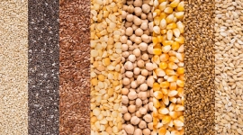 Reconhecer as exigências de mercado e reavaliar os sistemas