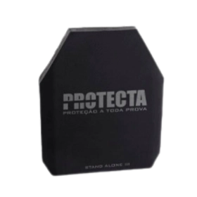 PLACA BAL&Iacute;STICA