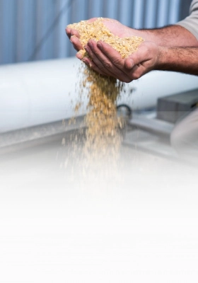 Fábrica de rações