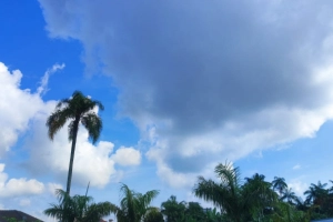 Veja como fica a previs&atilde;o do tempo em Joinville nesta segunda-feira