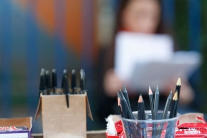 Ibama abre concurso com vagas em Santa Catarina