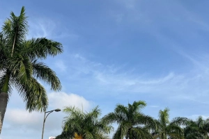 Saiba como fica a previs&atilde;o do tempo em Joinville nesta quarta-feira