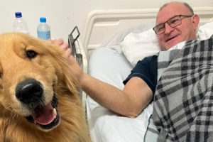 C&atilde;o terapeuta leva conforto e alegria a pacientes em hospital de Joinville