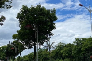 Saiba como fica a previs&atilde;o do tempo em Joinville neste s&aacute;bado